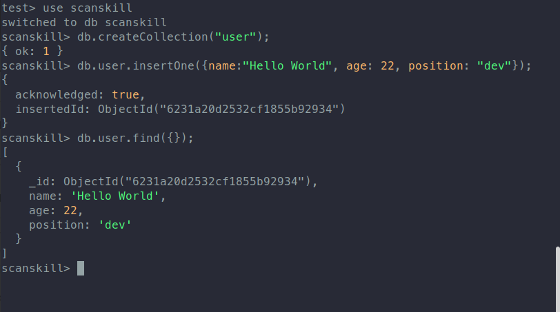 Result of inserting and retrieving data from MongoDB