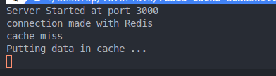 Putting data in Cache