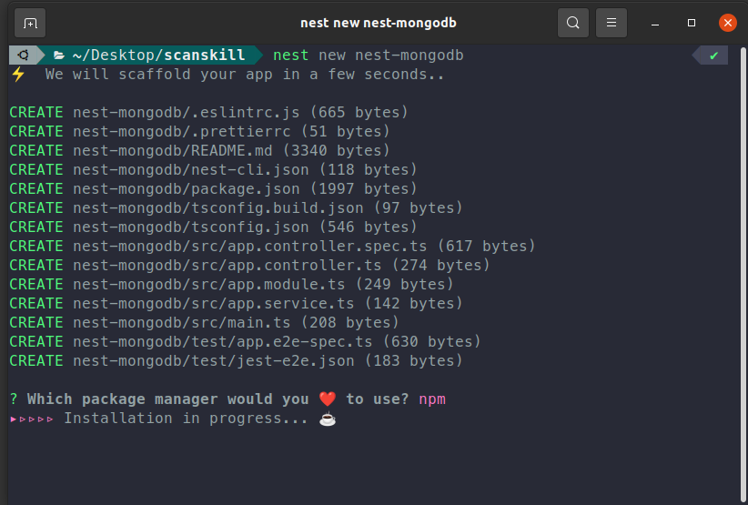 initializing a NestJS application