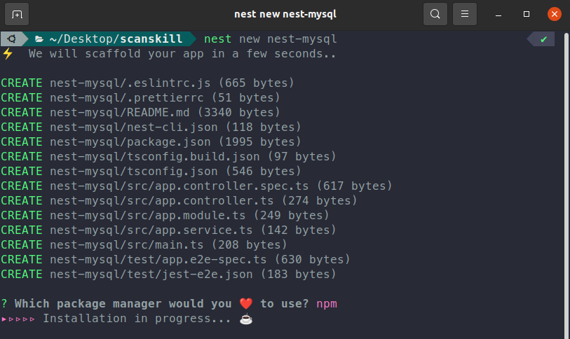 initializing a NestJS application